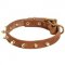 Walking Leather Schutzhund Dog Collar with Brass Spikes