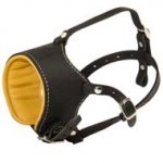 Snout Short Leather Schutzhund Dog Muzzle Padded with Nappa Leather
