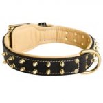 Royal Leather Schutzhund Dog Collar Spiked Padded with Nappa Leather