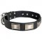 Leather Schutzhund Dog Collar with Massive Nickel Plates