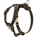 Studded Leather Schutzhund Dog Puppy Harness