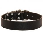 Wide Leather Schutzhund Dog Collar for Training and Walking