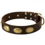 Designer Leather Schutzhund Dog Collar with Oval Plates
