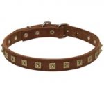 Handcrafted 1 Row Square Studded Leather Schutzhund Dog Collar