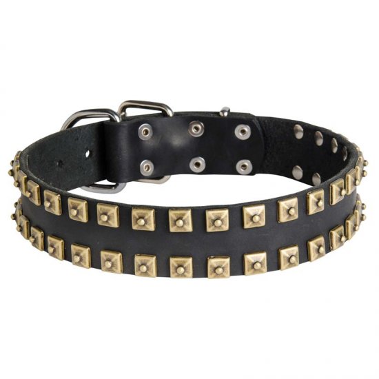 studded leather collar