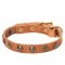 Leather Schutzhund Dog Collar with Brass Half-Ball Studs