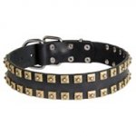 2 Rows Brass Studded Leather Schutzhund Dog Collar for Walking and Training
