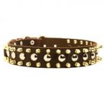 Spiked and Studded Schutzhund Dog Leather Collar