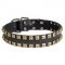 2 Rows Brass Studded Leather Schutzhund Dog Collar for Walking and Training