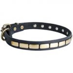 Schutzhund Dog Leather Collar Brass Plates 25 mm