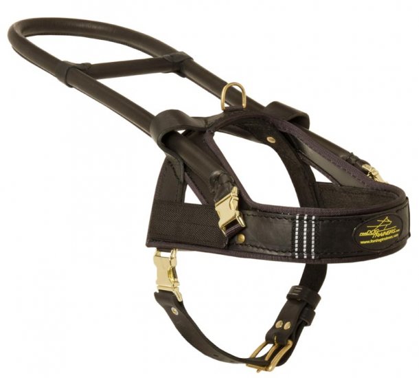 schutzhund harness