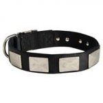 Nylon Schutzhund Dog Collar with Massive Nickel Plates