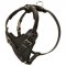 Protection Leather Schutzhund Dog Harness for Attack / Agitation Dog Training