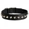 Exclusive Nylon Schutzhund Dog Collar with Awesome Nickel Cones