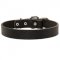 Leather Schutzhund Dog Collar For Pleasant Wearing