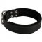 Schutzhund Dog Durable Padded Leather Collar 40 mm