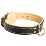 Padded Leather Schutzhund Dog Collar