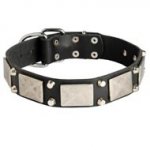 Leather Schutzhund Dog Collar Decorated with Nickel Cones and Plates