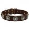 Leather Schutzhund Dog Collar with Blue Stones for Stylish Walking