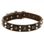 Leather Schutzhund Dog Collar With Studs and Pyramids