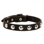 Beautiful Leather Schutzhund Dog Collar Decorated with Half-Ball Studs