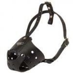 Everyday Leather Schutzhund Dog Muzzle for Training