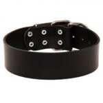 Extra Wide Leather Schutzhund Dog Collar for Professional Training