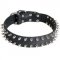 Leather Schutzhund Dog Collar with 2 Rows of Nickel Spikes