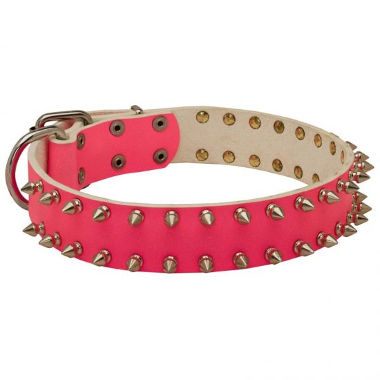 spiked pink collar