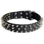 Leather Schutzhund Dog Collar with 3 Rows of Nickel Spikes