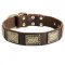 Leather Schutzhund Dog Collar with Massive Brass Plates