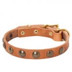 Leather Schutzhund Dog Collar with Brass Half-Ball Studs