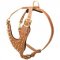 Brass Spiked Leather Schutzhund Dog Harness for Fashion Walking