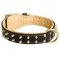 Royal Leather Schutzhund Dog Collar Spiked Padded with Nappa Leather