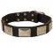 Leather Schutzhund Dog Collar with Large Nickel Plates