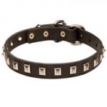 Schutzhund Dog Leather Collar Caterpillar Design