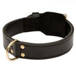 Training 2 Ply Leather Schutzhund Dog Collar