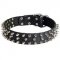 Leather Schutzhund Dog Collar with 3 Rows of Nickel Spikes
