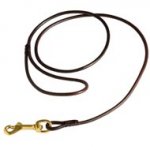 Fully Beneficial Show Leather Schutzhund Dog Leash - Comfort for You and Your Dog
