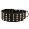 Extra Wide 4 Rows Studded Leather Schutzhund Dog Collar