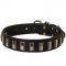 Leather Schutzhund Dog Collar with Shiny Plates