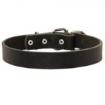 Leather Schutzhund Dog Collar For Pleasant Wearing
