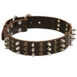 Schutzhund Dog Spikes and Studs Rows Leather Dog Collar