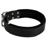 Schutzhund Dog Durable Padded Leather Collar 40 mm