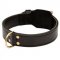 Training 2 Ply Leather Schutzhund Dog Collar