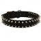 Spiked Nylon Schutzhund Dog Collar