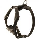 Durable Spiked Leather Puppy Schutzhund Dog Harness