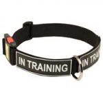 All Weather Nylon Schutzhund Dog Collar with ID Patches