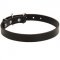 Leather Dog Collar for Schutzhund Dog