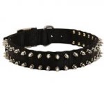 Spiked Nylon Schutzhund Dog Collar